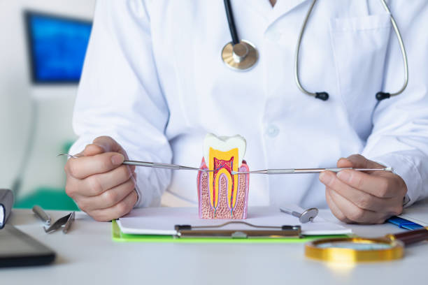Best Mobile Emergency Dentist in Citrus Heights, CA